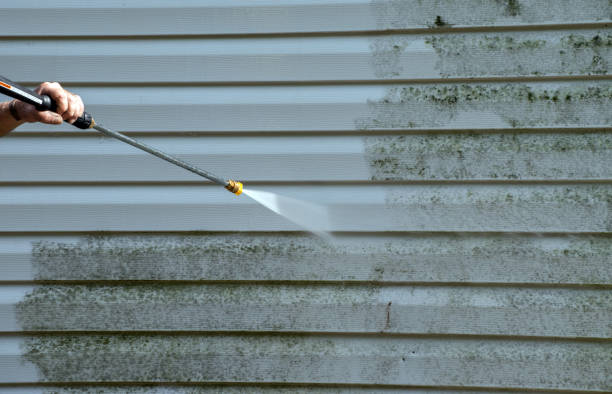 Best Fence Pressure Washing  in Williamson, WV