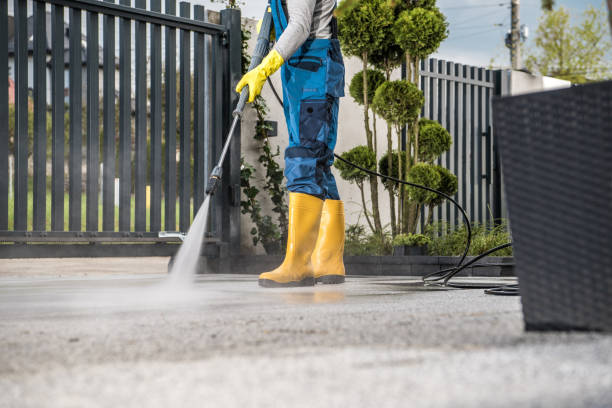 Best Deck Cleaning Services  in Williamson, WV