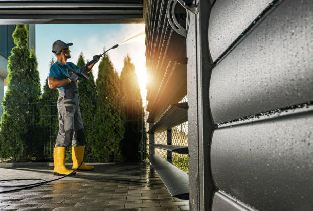 Best Roof Pressure Washing  in Williamson, WV