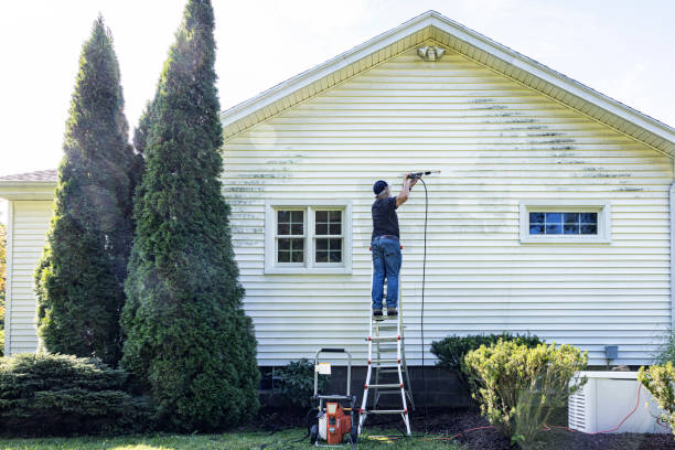 Best Pressure Washing Cost  in Williamson, WV