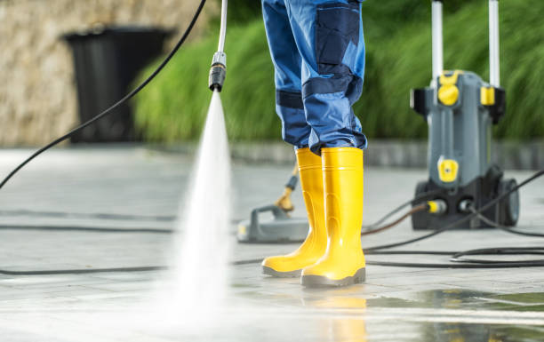 Best Local Pressure Washing Services  in Williamson, WV