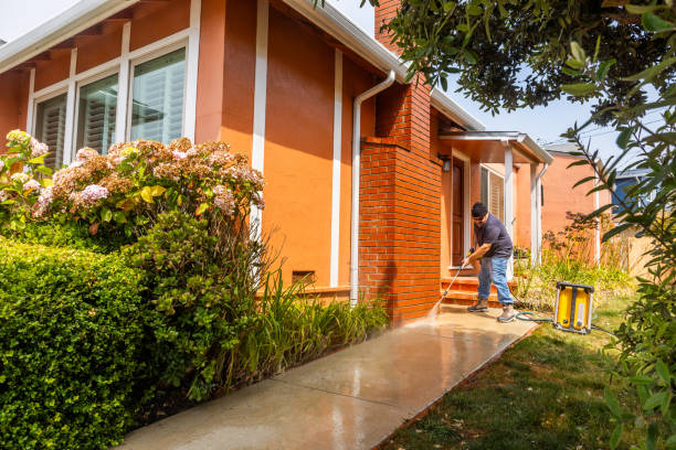 Best Affordable Pressure Washing  in Williamson, WV