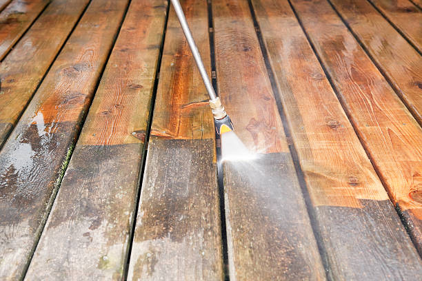 Best Residential Pressure Washing Services  in Williamson, WV