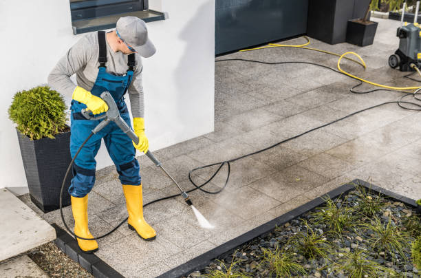 Best Deck Pressure Washing  in Williamson, WV