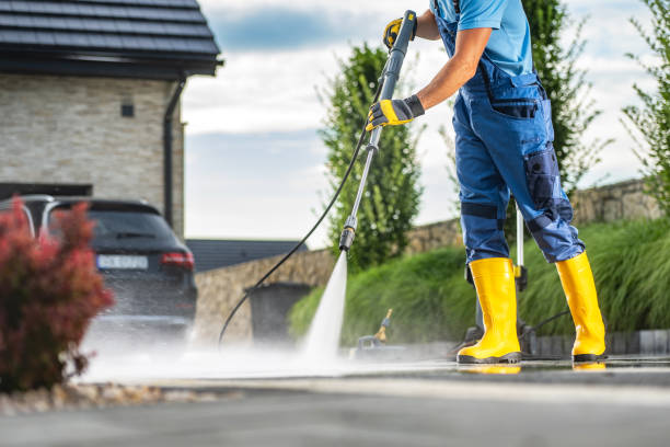 Best Power Washing Near Me  in Williamson, WV