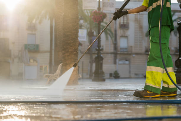 Best Roof Power Washing Services  in Williamson, WV