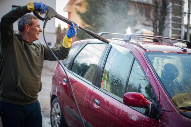Best Exterior Home Cleaning  in Williamson, WV